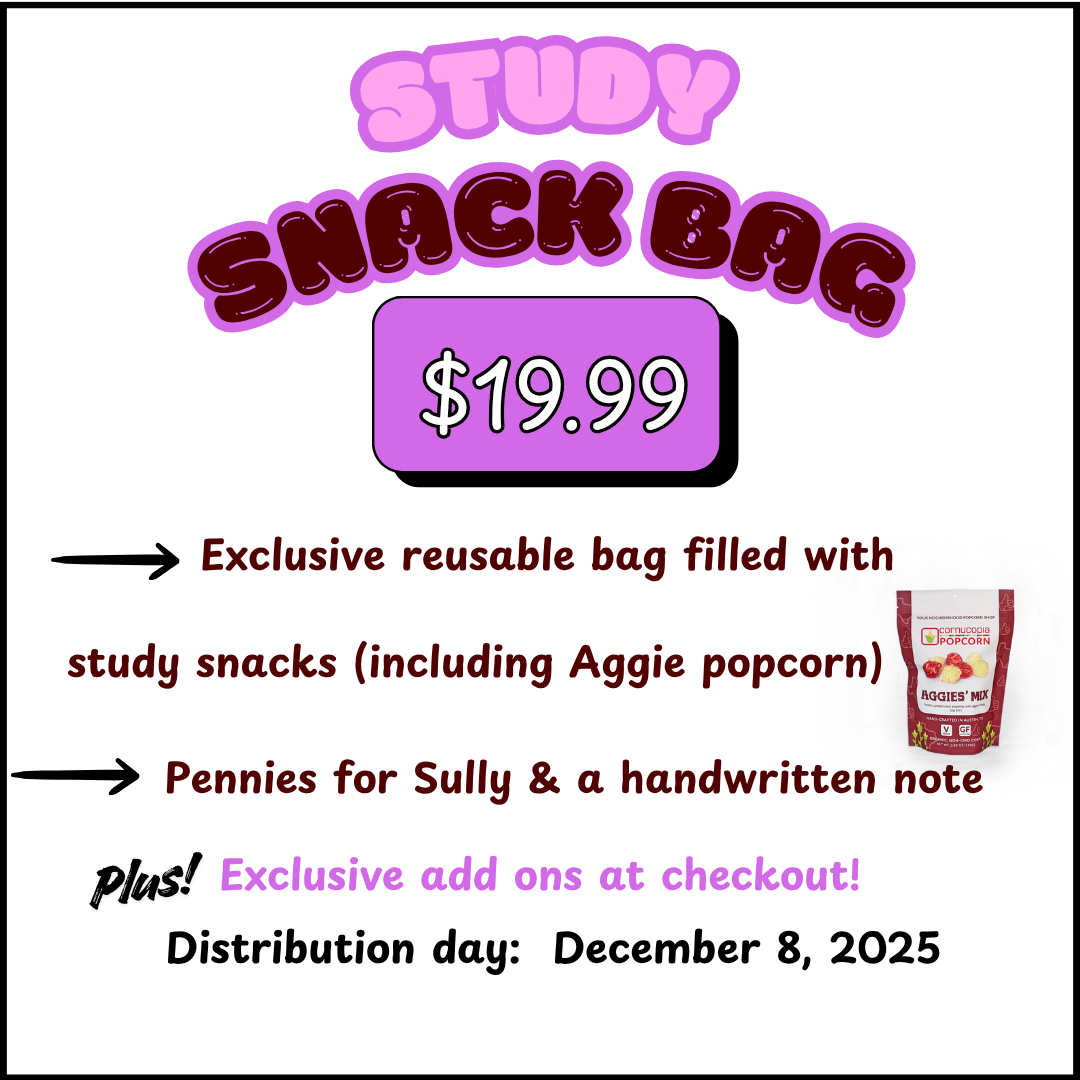 Finals Study Snack Bag

It is a gift bag filled with study snacks (including Aggie popcorn) with pennies for Sully and a handwritten encouragement note.